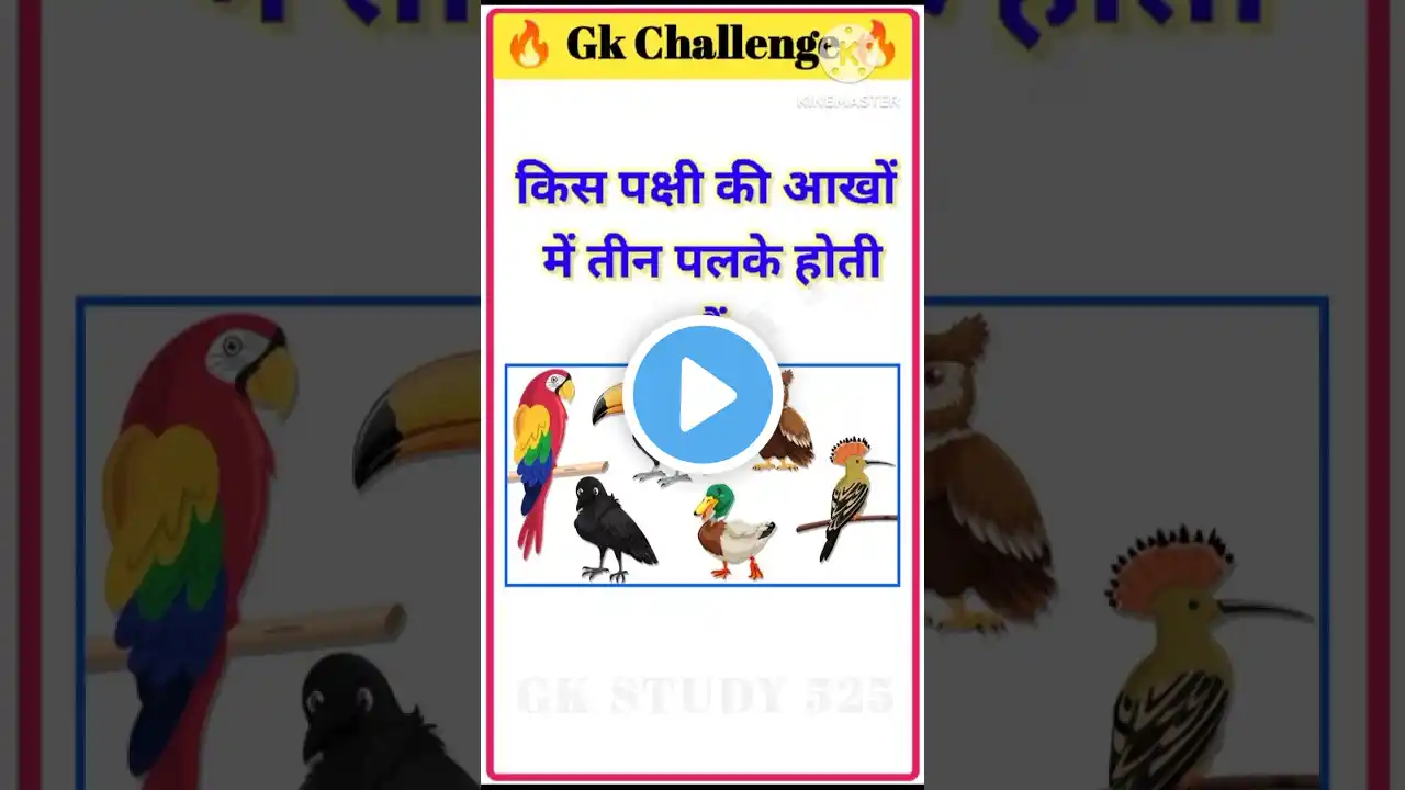 Top 20 GK Question 🔥💯|| GK Question ✍️|| GK Question and Answer #brgkstudy #gkinhindi #gkfacts #236