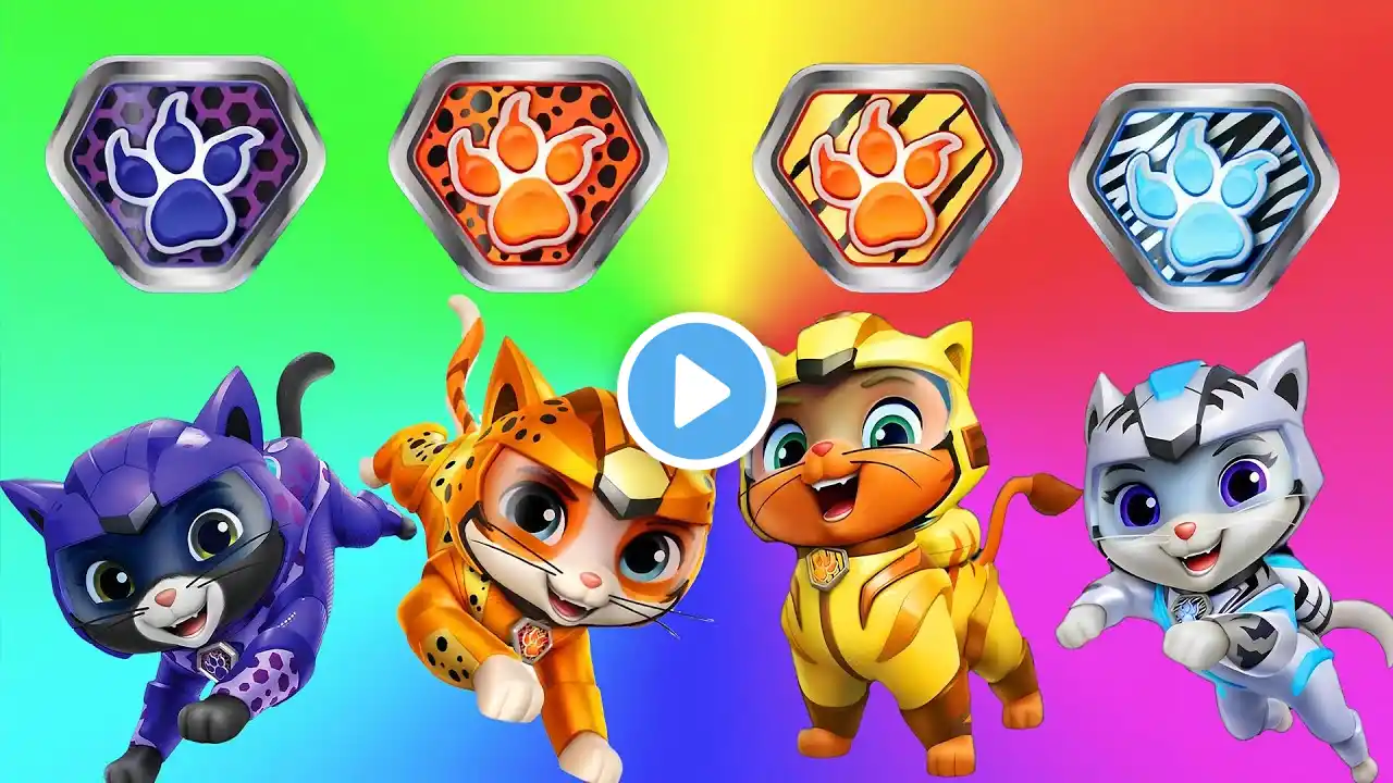 Paw Patrol : Guess the Right Badge Color with Super Paw Patrol Cat! - Chase, Rubble, Skye, Marshall.