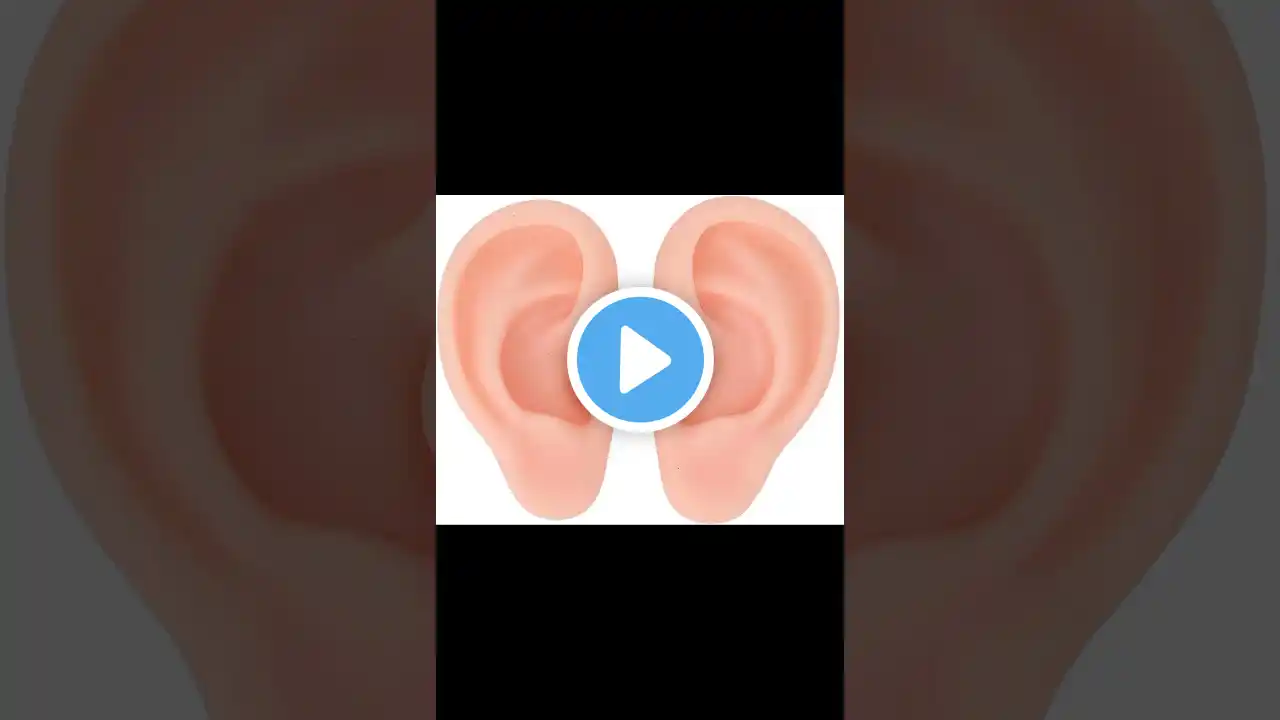 Head shoulder nee and toes rhymes | body parts for kids ЁЯСМЁЯП╗ЁЯФеЁЯФеЁЯСМЁЯП╗#shorts #ytshorts #viral #varalshorts