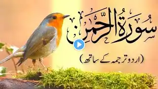 Surah Rahman Tarjuma ke sath | Qari Al Sheikh Abdul Basit Abdul Samad | islamic Ebits 0280