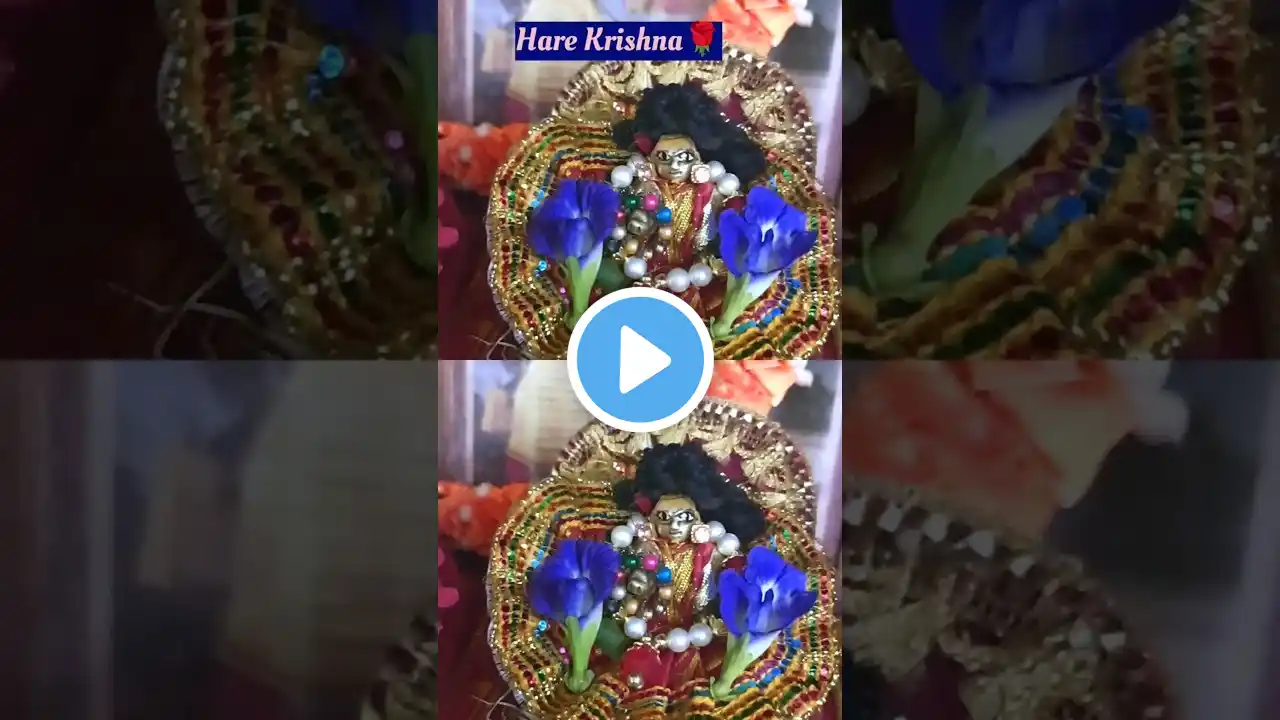 ✨Laddu gopal sringar darshan✨| Mero man vrindavan me atko | #shorts #trendingshorts #radheradhe