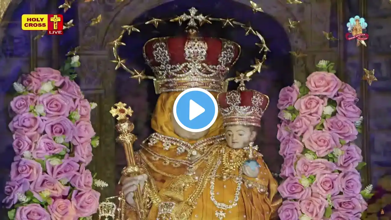 16 November 2022 - வேளாங்கண்ணி பேராலய திருப்பலி | Vailankanni Shrine Basilica Mass | Holy Cross Tv