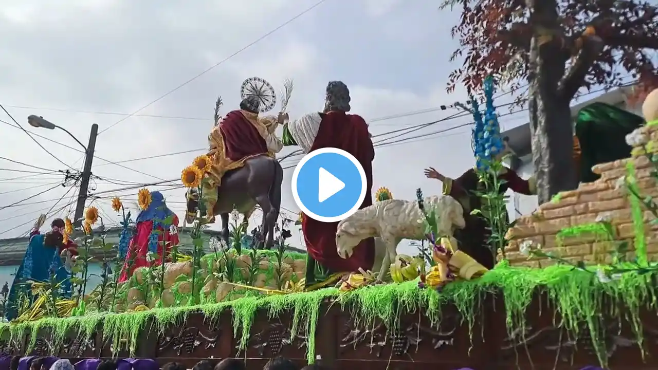 Festiva Procesión de Jesús de las Palmas, Domingo de Ramós 2024