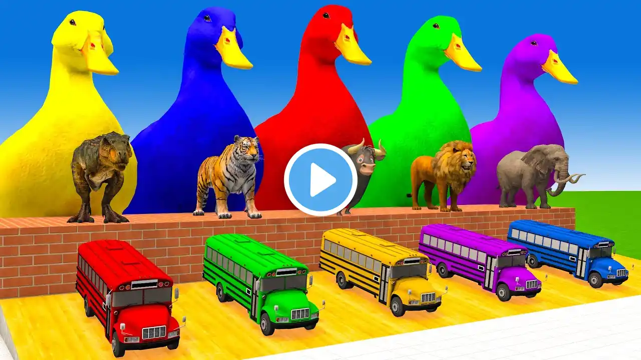 5 Giant Duck Cartoon,Cow,Elephant,Tiger,Lion,Dinosaur,Paint Wild Animals Crossing Fountain Animation