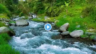 Babbling Brook Sounds – Soothing Creek & Water Stream for Stress Relief & Deep Sleep