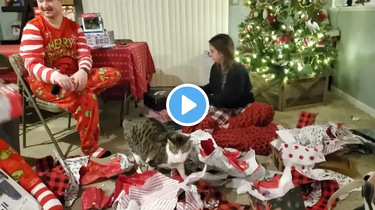 The kids opening up Gifts on Christmas Day 12/25/22