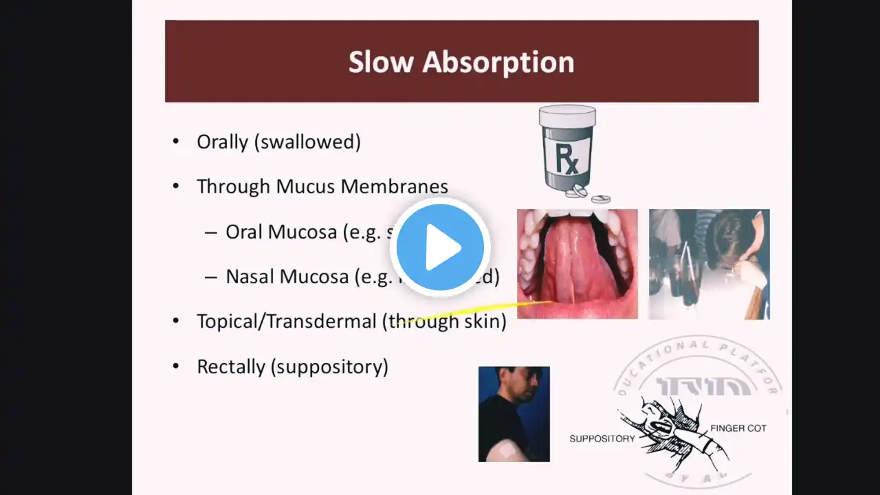 Pharmacokinetics chapter: 3 part :1 pharmacology 3rd semester kmu slides in pashto #kmupdates