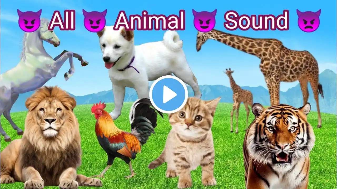 Wild Animal Sounds: Cow, Duck, Dog, Hen, Cat, Elephant, Horse - Animal Videos || animal sound effect