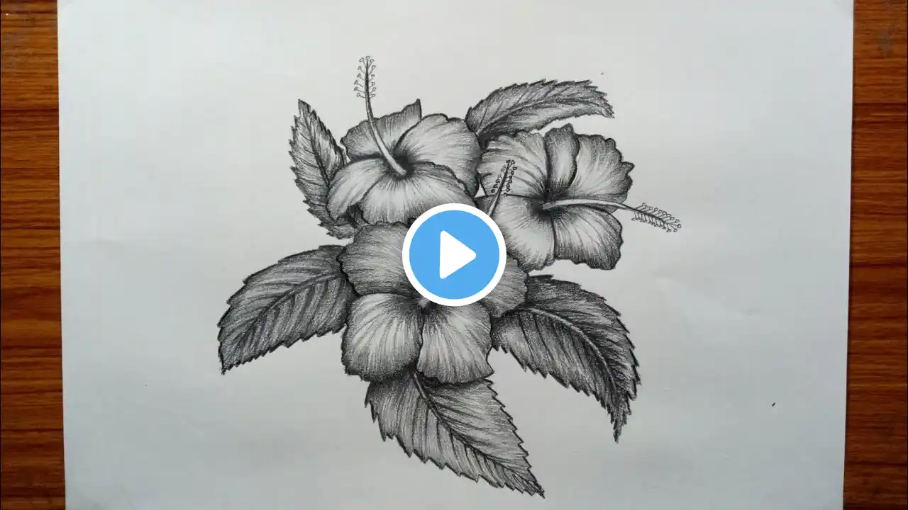 How to draw hibiscus and leafs easy and step by step | hibiscus pencil sketch | how to draw flowers