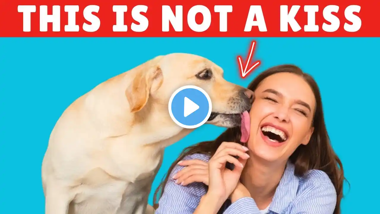 Have You Let Your Dog Lick Your Face? Watch This Before It’s Too Late! 🚨🐶