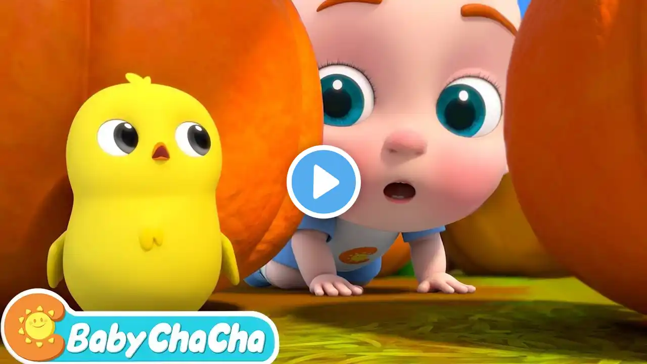 Little Chick Search Song | Little Chick, Where Are You? | Baby ChaCha Nursery Rhymes & Kids Songs