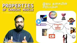 properties of cardiac muscle இதய தசையின் சிறப்புகள்/ Rhythmicity/conductivity