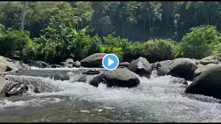 Forest River Nature Sound calming water sound for relaxation for relieve stress for sleep