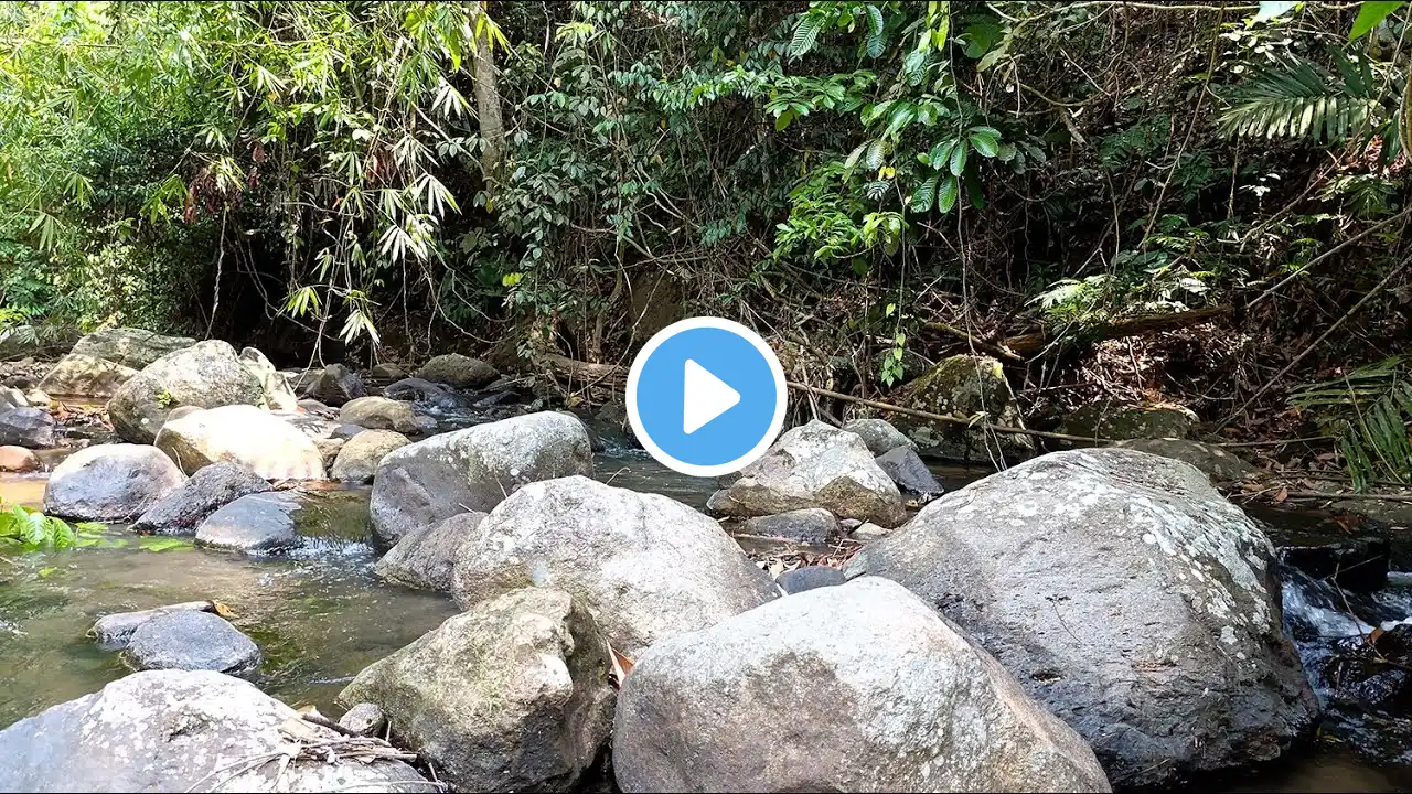 Find Peace In The Rushing Babble Of Water - Relaxing River Sounds Heal Stress,Anxiety and Depression