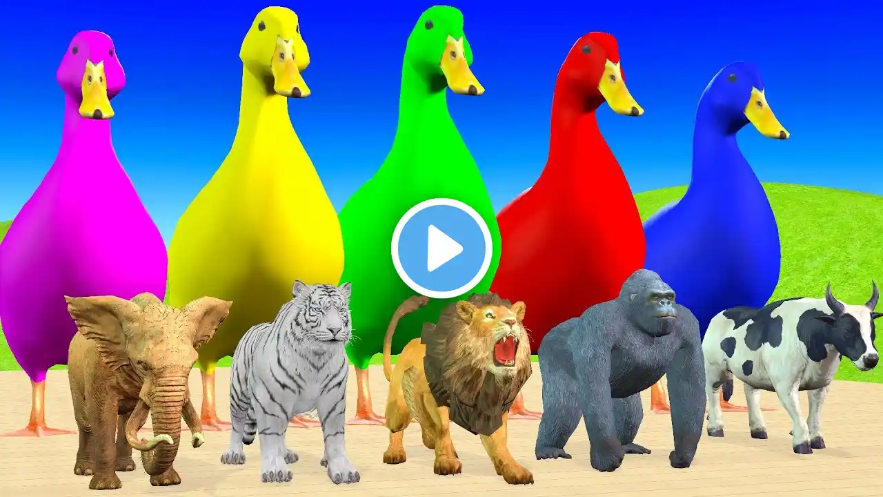 Long Slide Game With Elephant Gorilla Buffalo Hippopotamus Tiger - 3d Animal Game - Funny 3d Animals