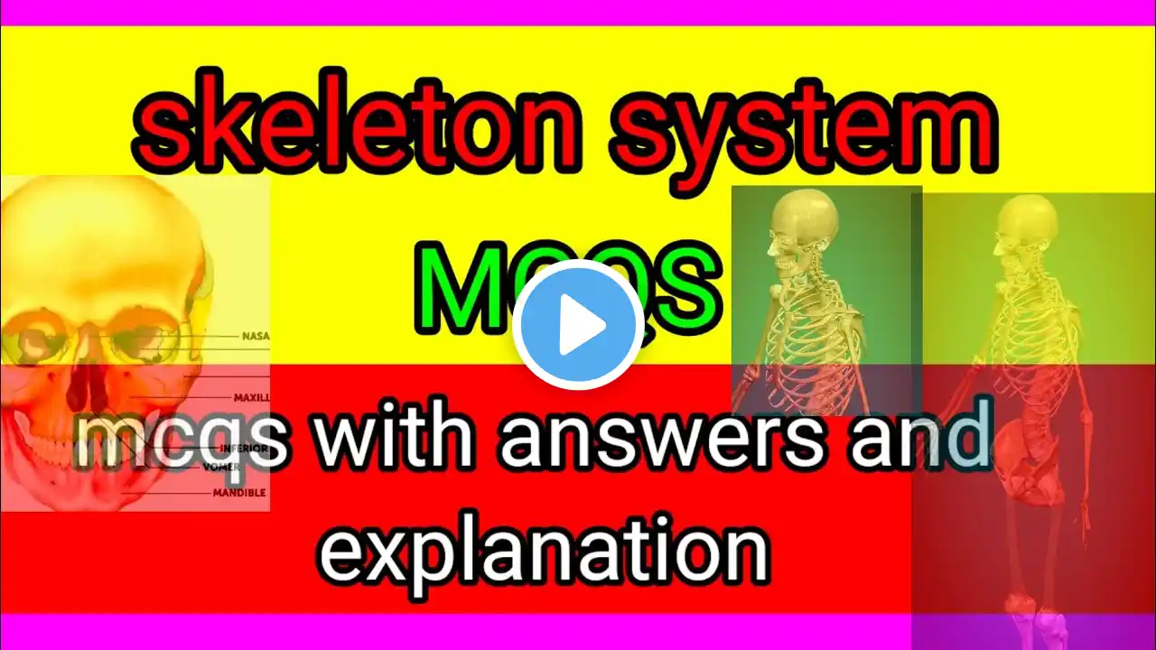 Skeleton System MCQs: Test Your Knowledge of the Human Skeleton