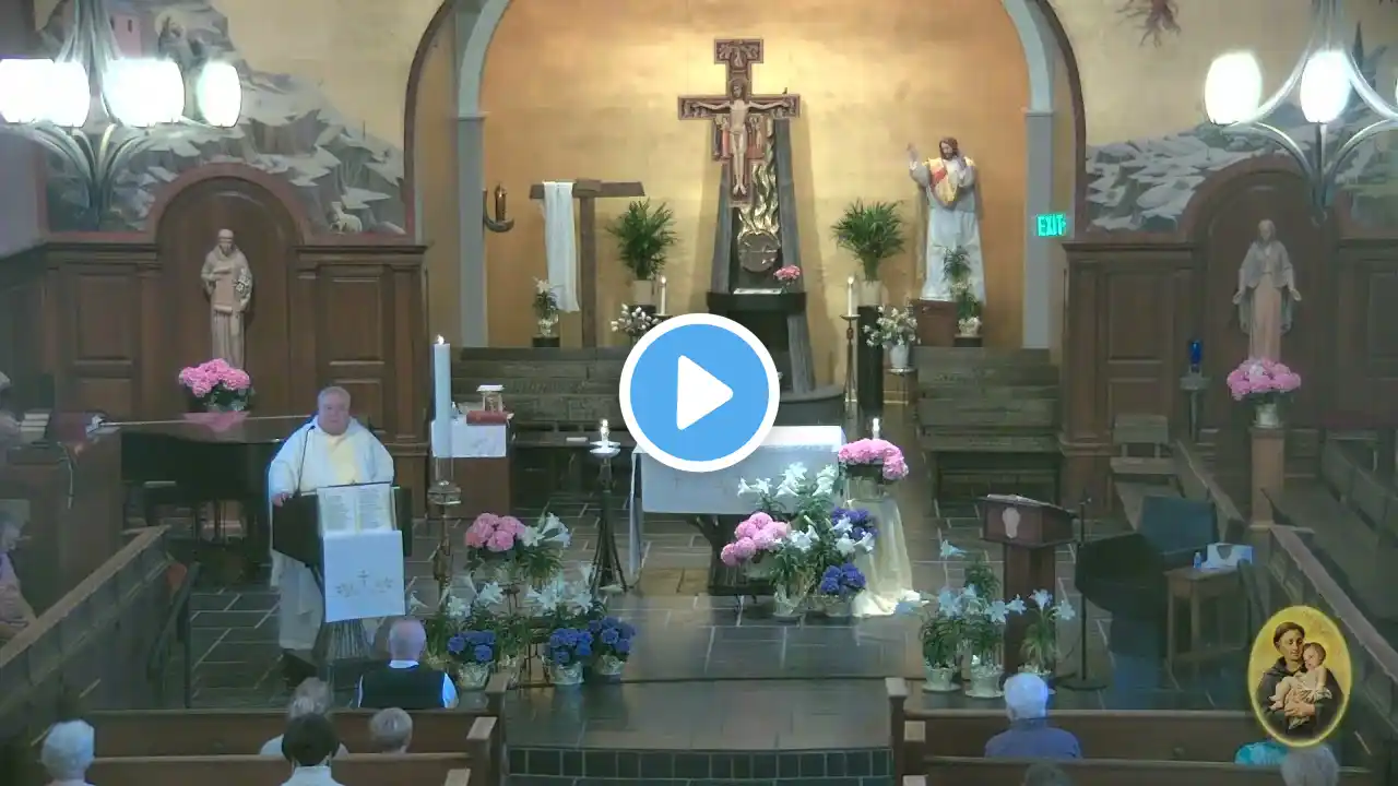 Homily 04/22/2022