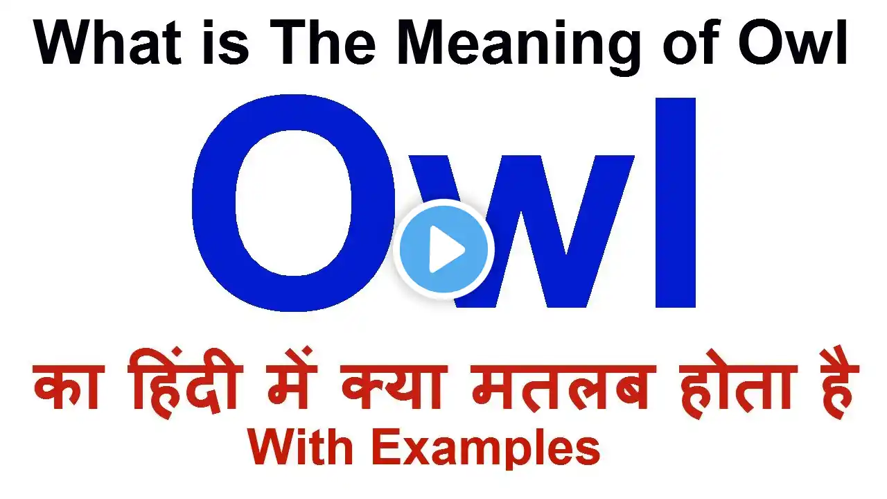 Owl Meaning in Hindi | Owl Definition | Owl Ka Matlab Kya Hota Hai | Owl in Hindi