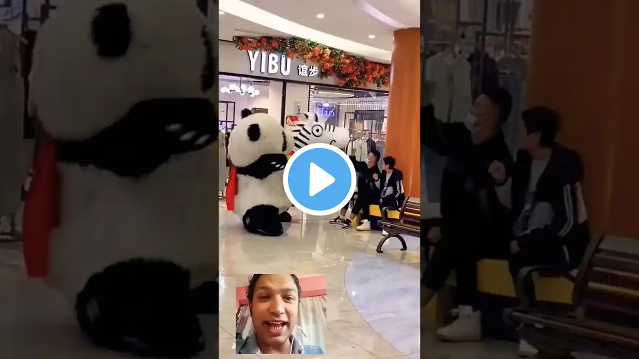 Cute panda and crazy horse 😆 😍 #trending #viralvideo #shorts #funny #youtubeshorts #shortvideo