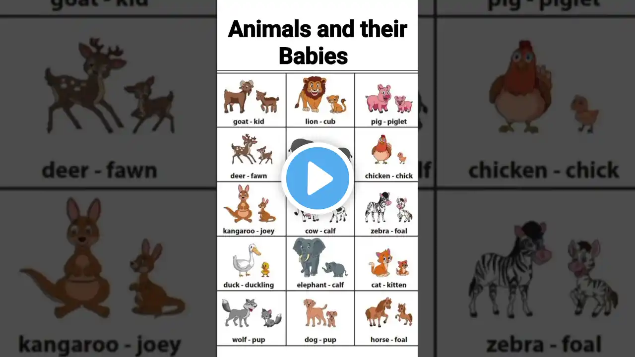 Animals &their young ones#kidslearning #ytshorts #animalsbaby #kidsvideo #shorts #kidsvideo