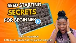 Seed Starting Vegetables For Beginners