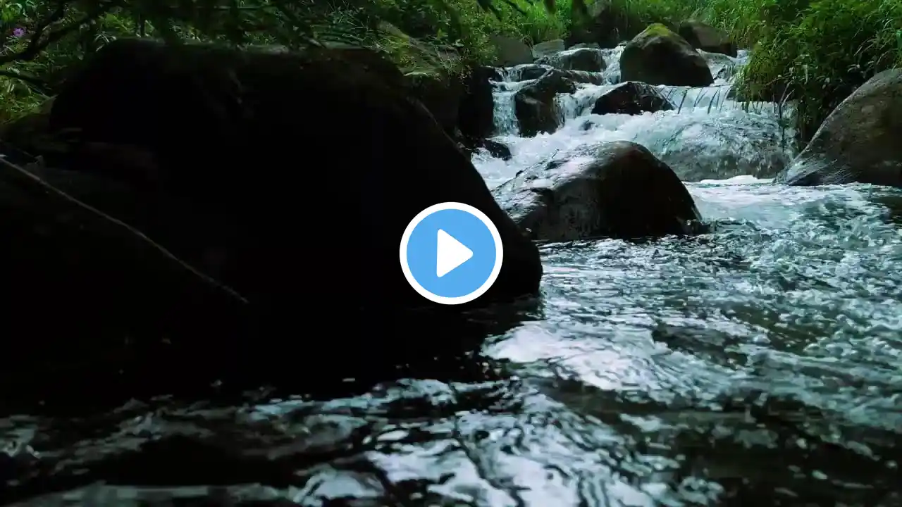 Deep Sleep Nature Sounds | Gentle River Flow & Forest Birds Chirping ASMR Live for Relaxation