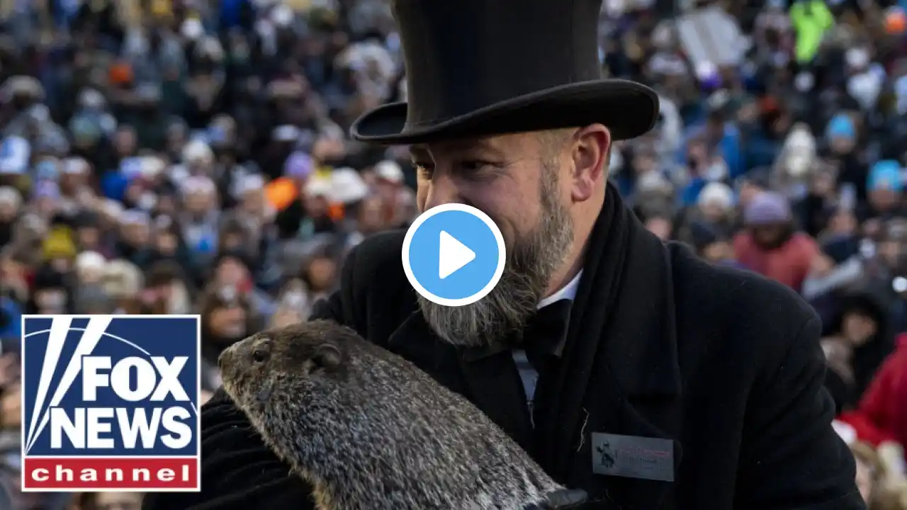 Punxsutawney Phil sees his shadow during Groundhog Day prediction