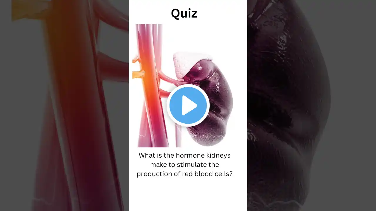 #what#hormone#kidney secrete to make#redbloodcells #humananatomy#shortsfeed #shortsquiz#question#bio