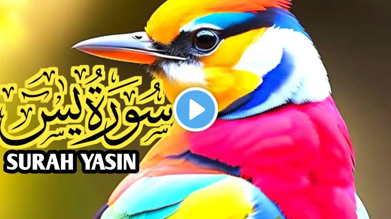 Surah Yasin (Yaseen) | By Sheikh Abdur-Rahman As-Sudais|Full With Arabic Text (HD) | 36سورۃ یس|