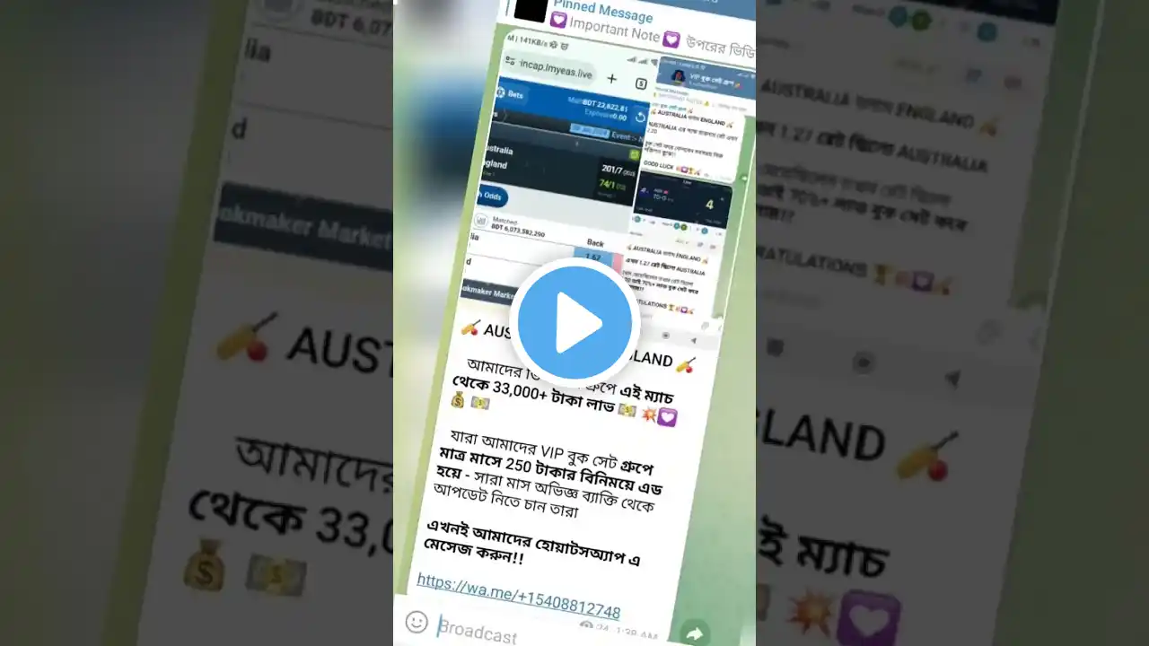 #cricket #wc24 #ausvseng #short #shorts #shortvideo #shortsfeed #tiktok #viral #t20 #t20worldcup