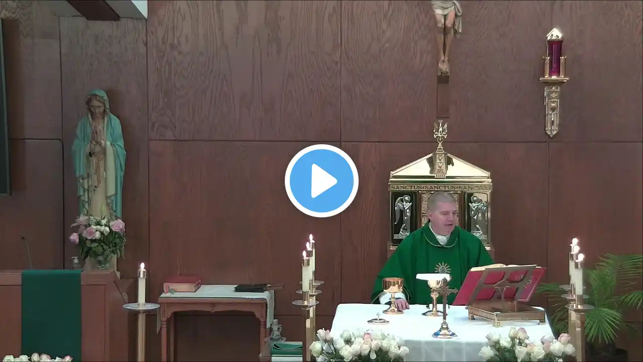 Misa Diaria en Español | Daily Mass in Spanish | November 3, 2022