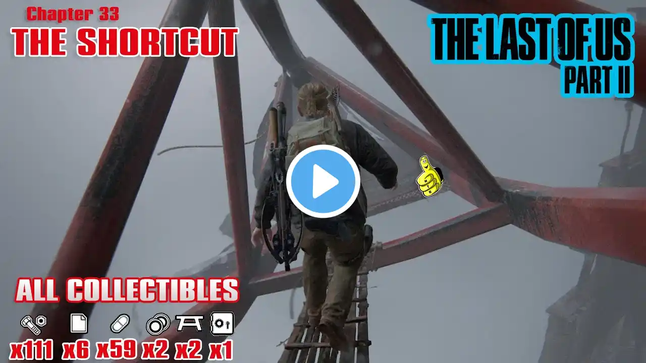 The Last of Us Part 2: Chap 33 / The Shortcut (All Collectibles) - HTG