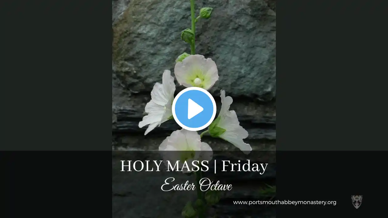 🔴LIVE HOLY MASS WITH GREGORIAN CHANT - EASTER OCTAVE - FRIDAY | Monks | 04-05-2024