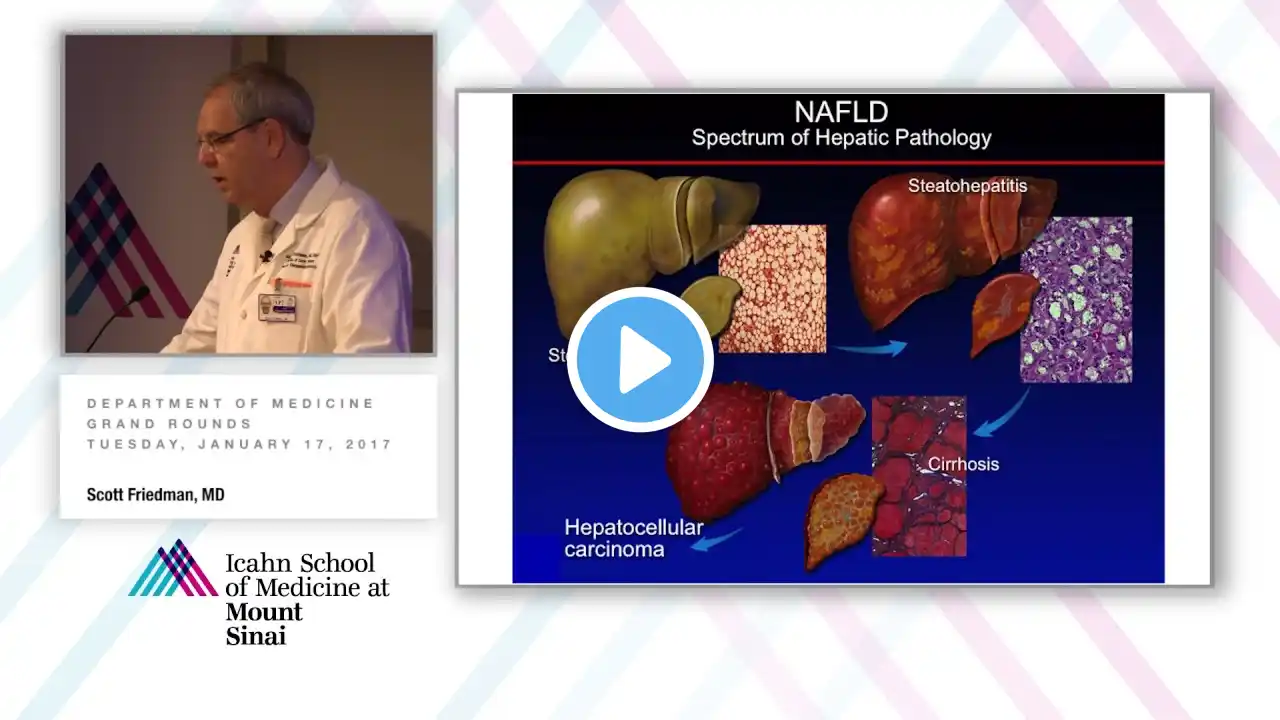 The Dawn of Translation in NASH and Hepatic Fibrosis