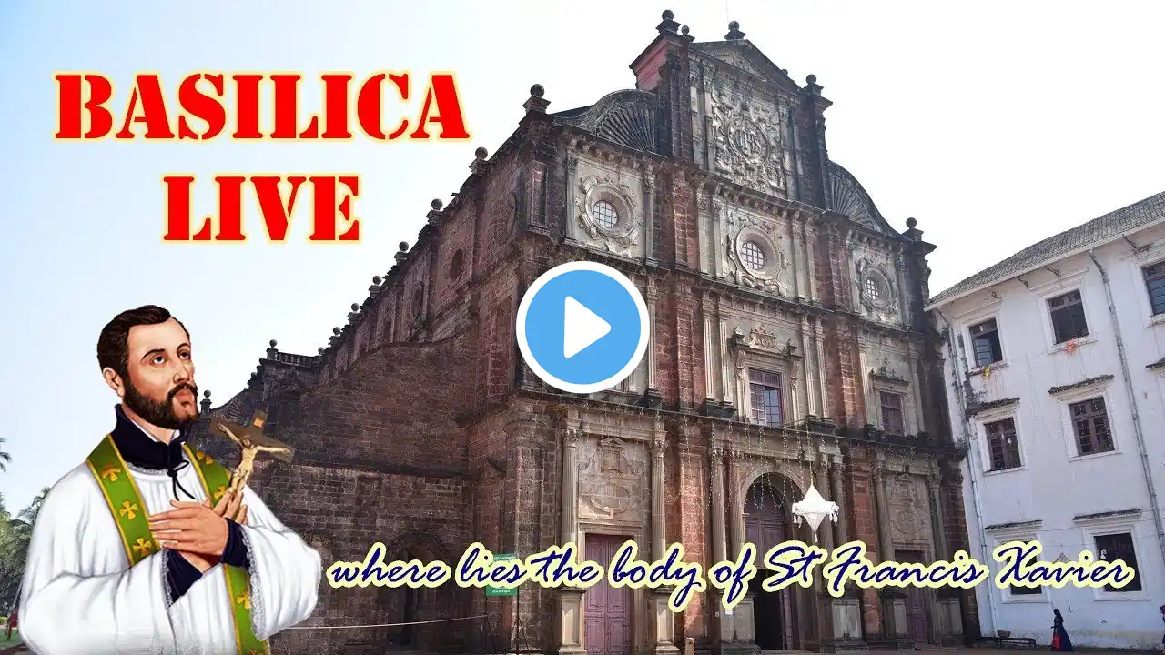 Portugese mass | Sixth Sunday in ordinary Time | Basilica of Bom Jesus | 16 February  2025