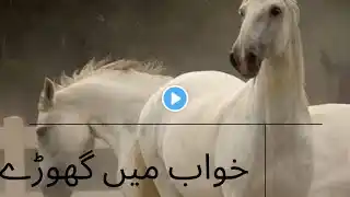 #Khwab Mai Ghora dekhna #arbic #Arbic horse #khwabon_ki_tabeerain #urdutabeer #khwabkitabeer #hindi