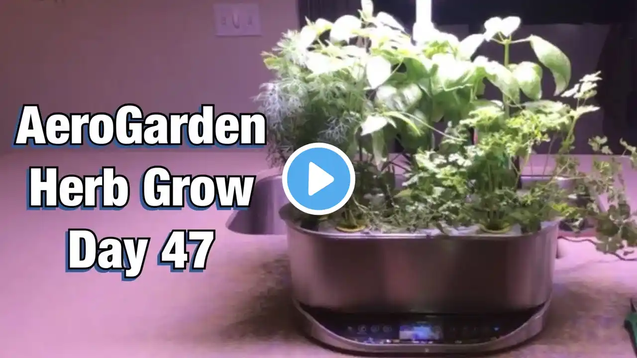 AeroGarden Herb Grow Day 47 Update