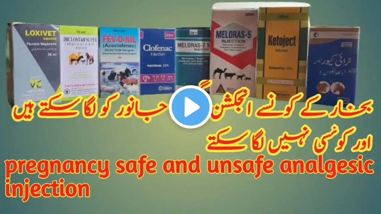 Analgesic Pregnancy Safe Injection for animals!! Janwaron ka bukhar wala injection