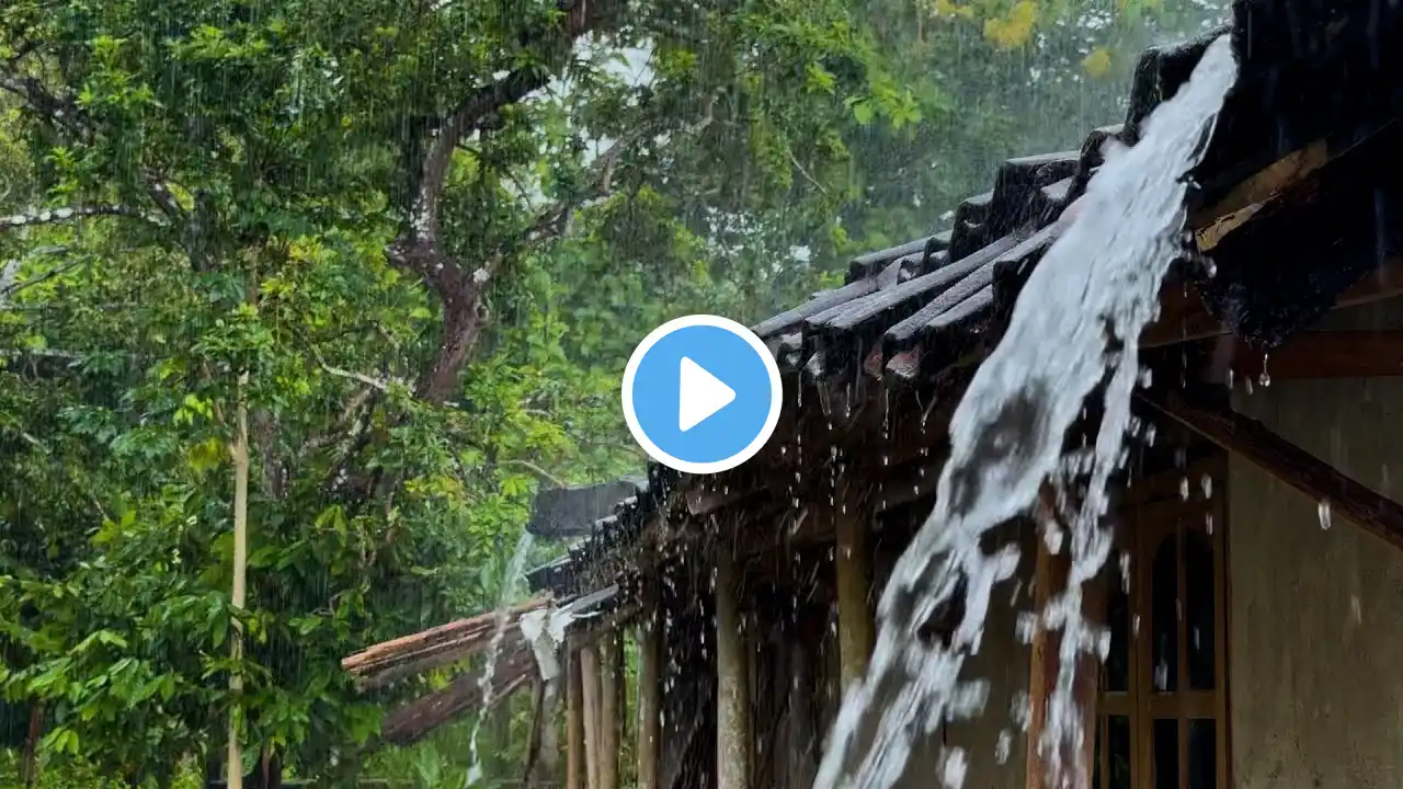 Steady Rain & Rolling Thunder in a Quiet Countryside for Sleep, Nerve Healing & Stress Relief