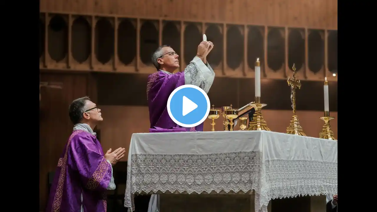 Tuesday of the Second Week of Advent, December 10, 2024