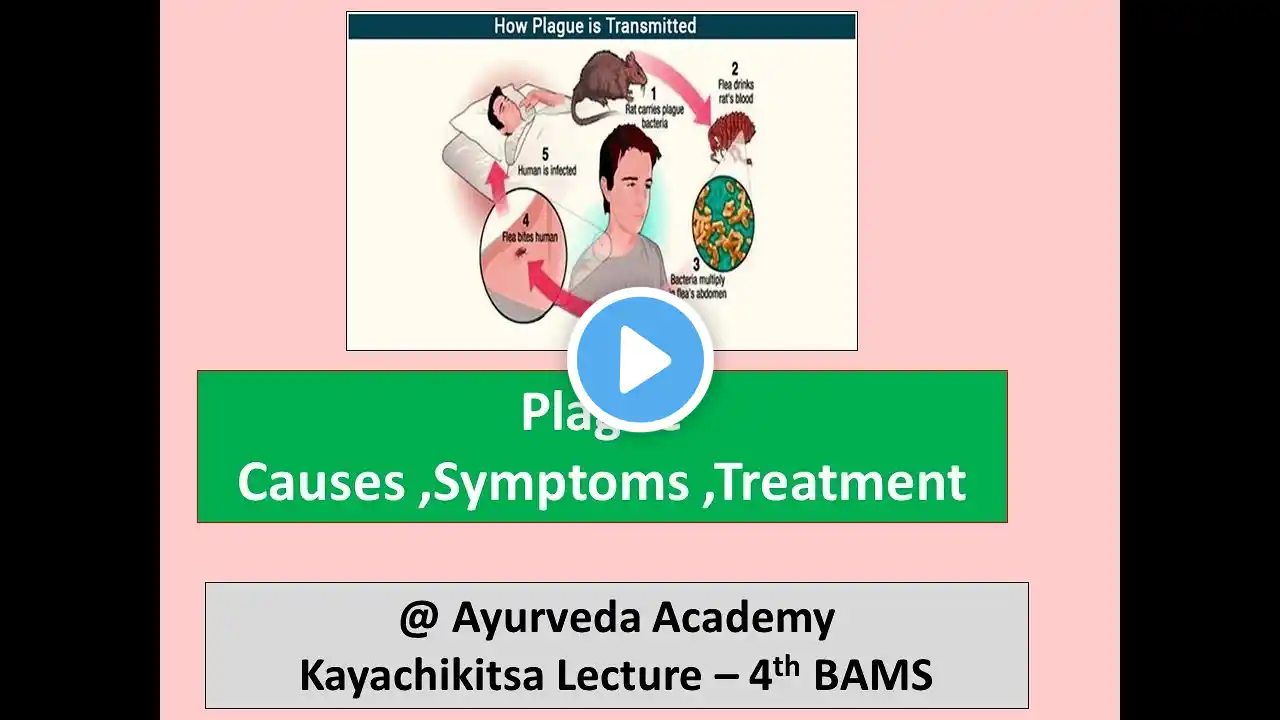 Plague   – causes ,symptoms ,Diagnosis ,Treatment  l Yersinia pestis  l Kayachikitsa Lecture l