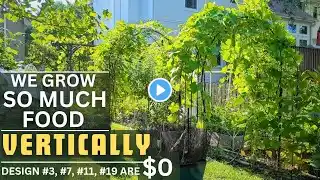 20 TRELLIS designs with examples for VERTICAL gardening, easy & budget friendly