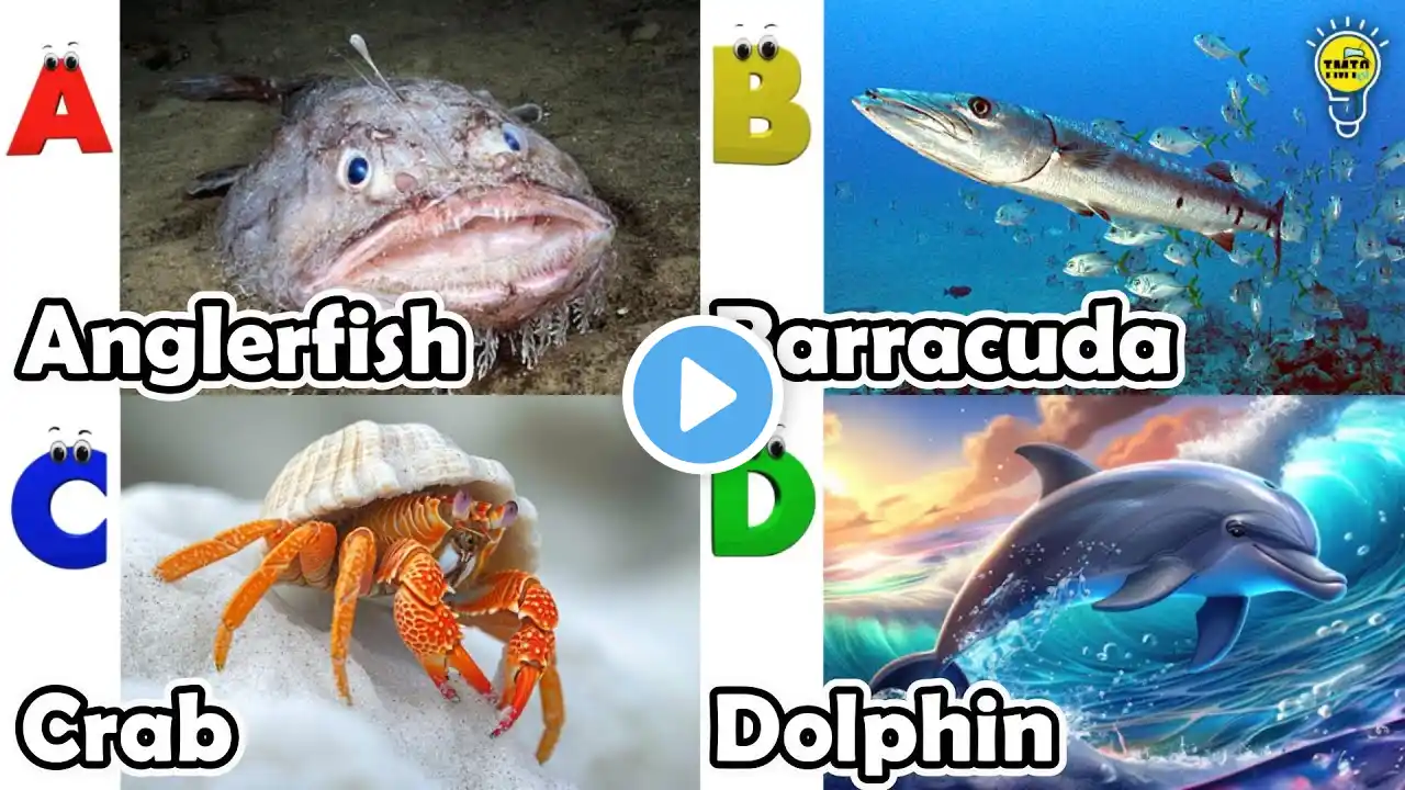 ABC Sea Animals song | Learn Alphabets | English and Animals for Kids | Alphabets Kids Song