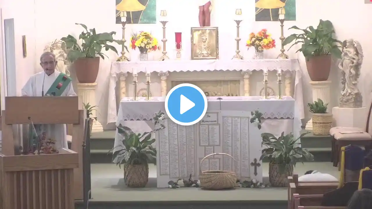 Catholic Mass Live Stream-Thirty Third Sunday In Ordinary Time-November 17, 2024