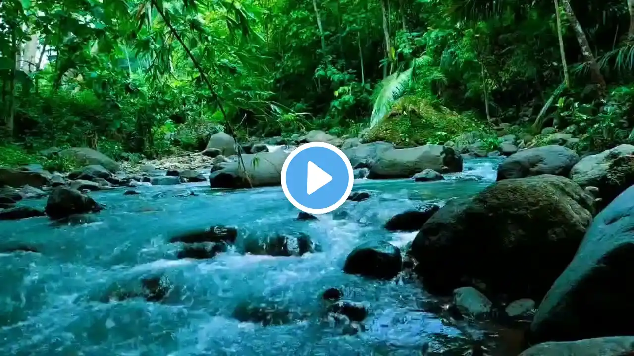 Water Sounds, peaceful forest improves mood, relieves stress, helps sleep soundly Meditation