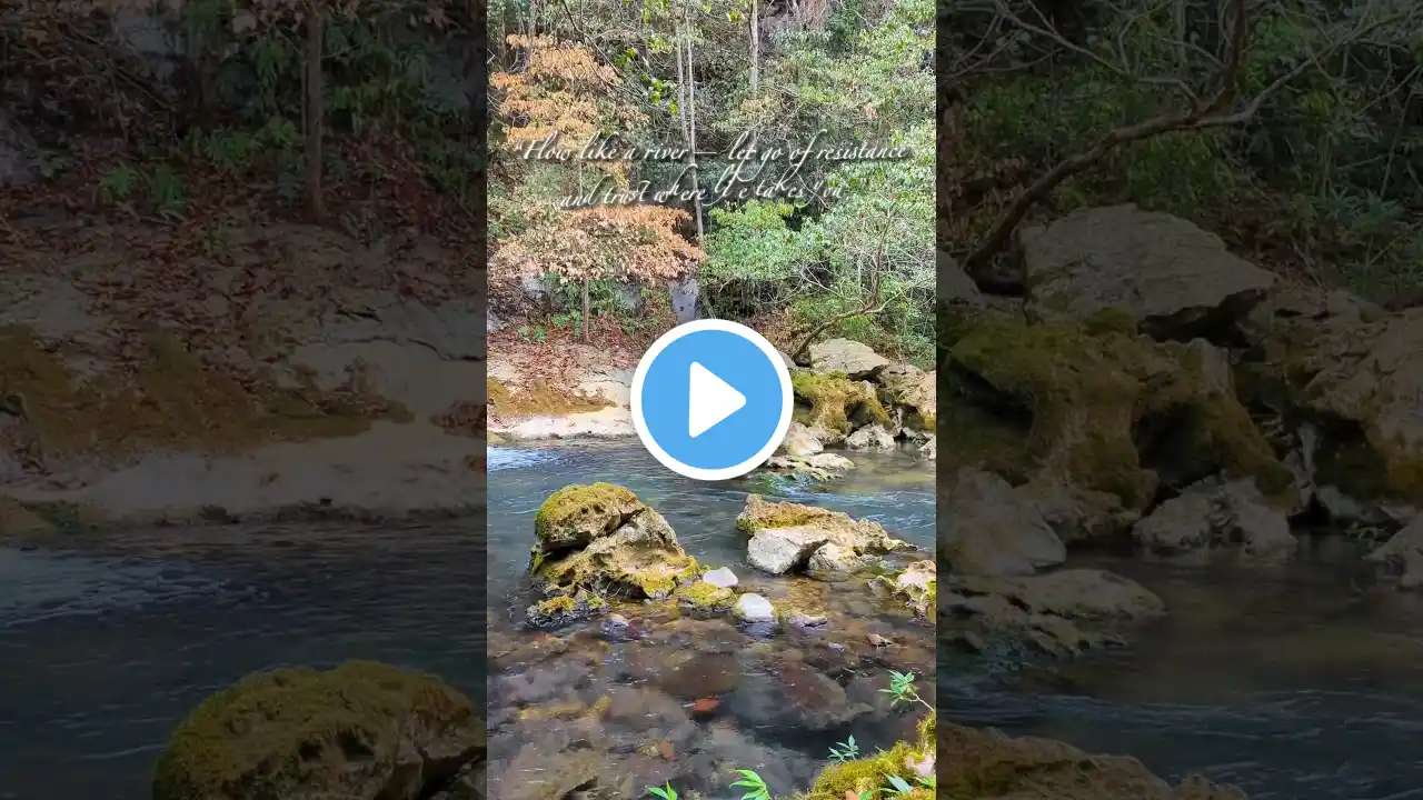 🌴🌊💧 Clear Water Creek ASMR 🌿 Ultimate Relaxation & Deep Sleep 🍃🍀🌲 #sleepsounds #asmrwatersound