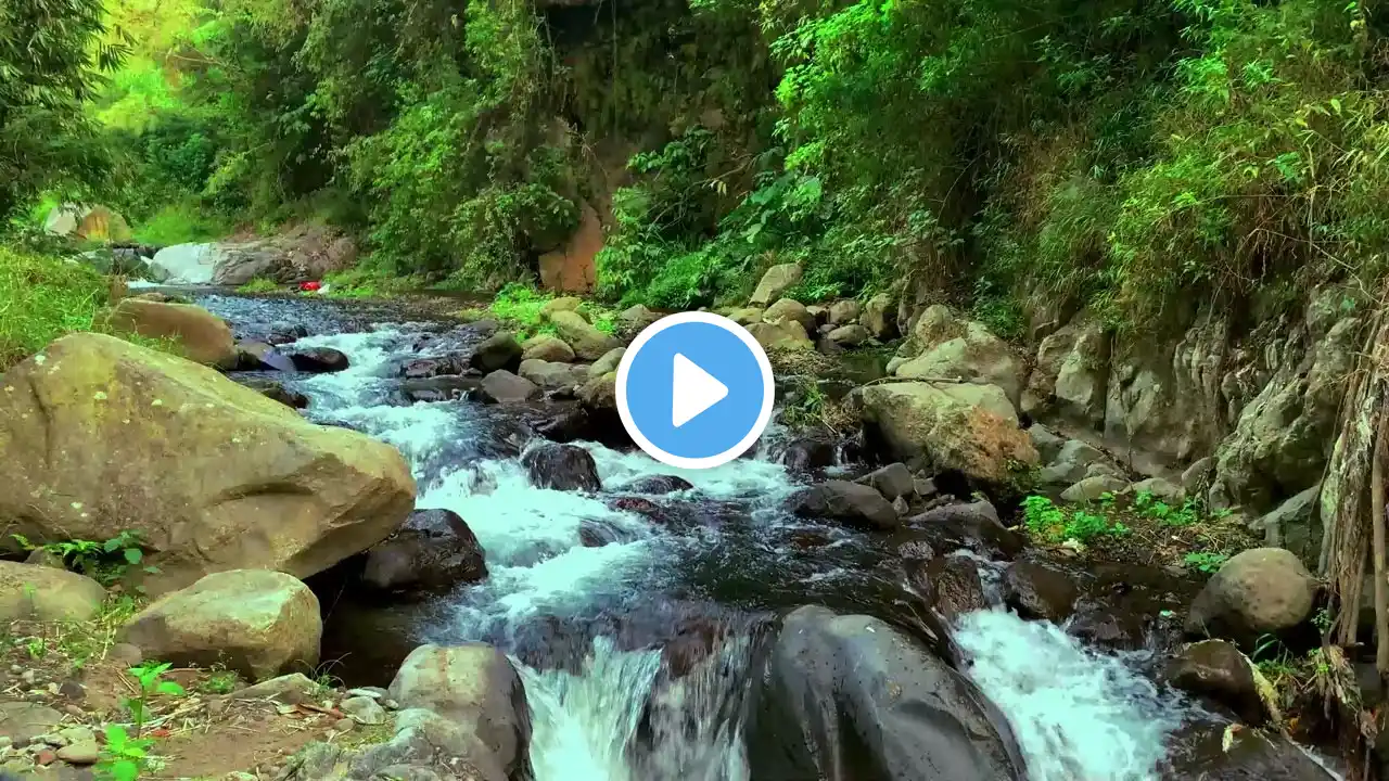 Relaxing River Sounds with White Noise for Sleep and Deep Relaxation Discover the Peace of Nature