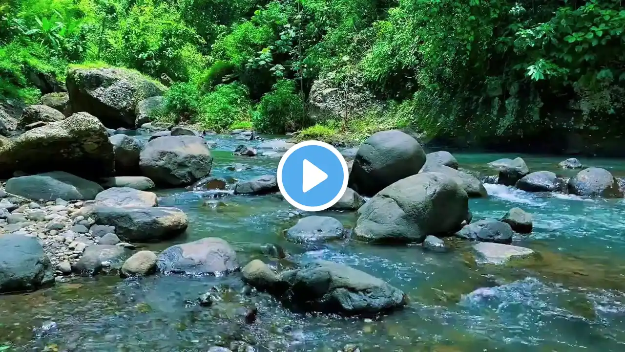 Relaxing River Sounds with Gentle Bird Chirps, Echoing Through a Tranquil Green Forest