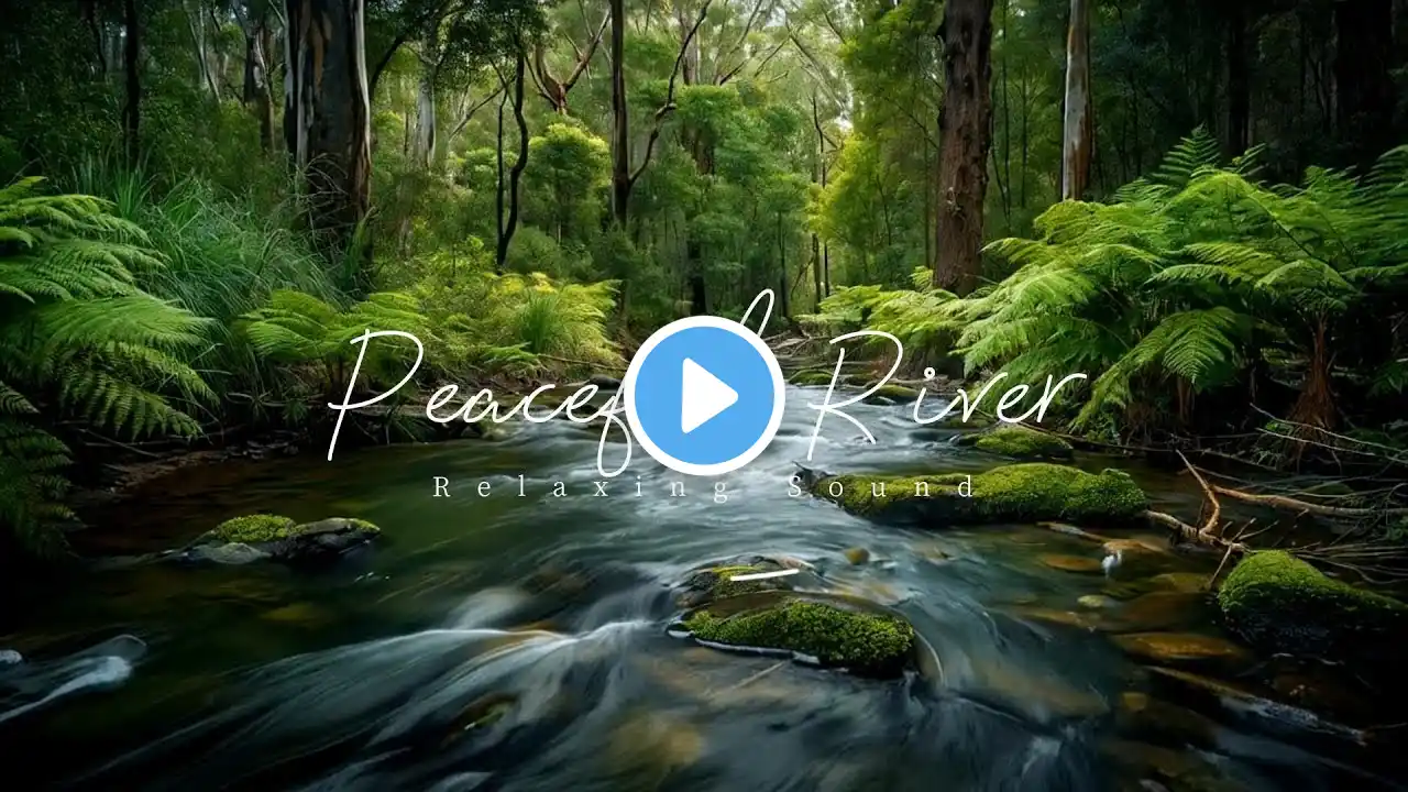 Magical Forest Sounds | Flowing River & Singing Birds for a Calm Mind & Restful Sleep