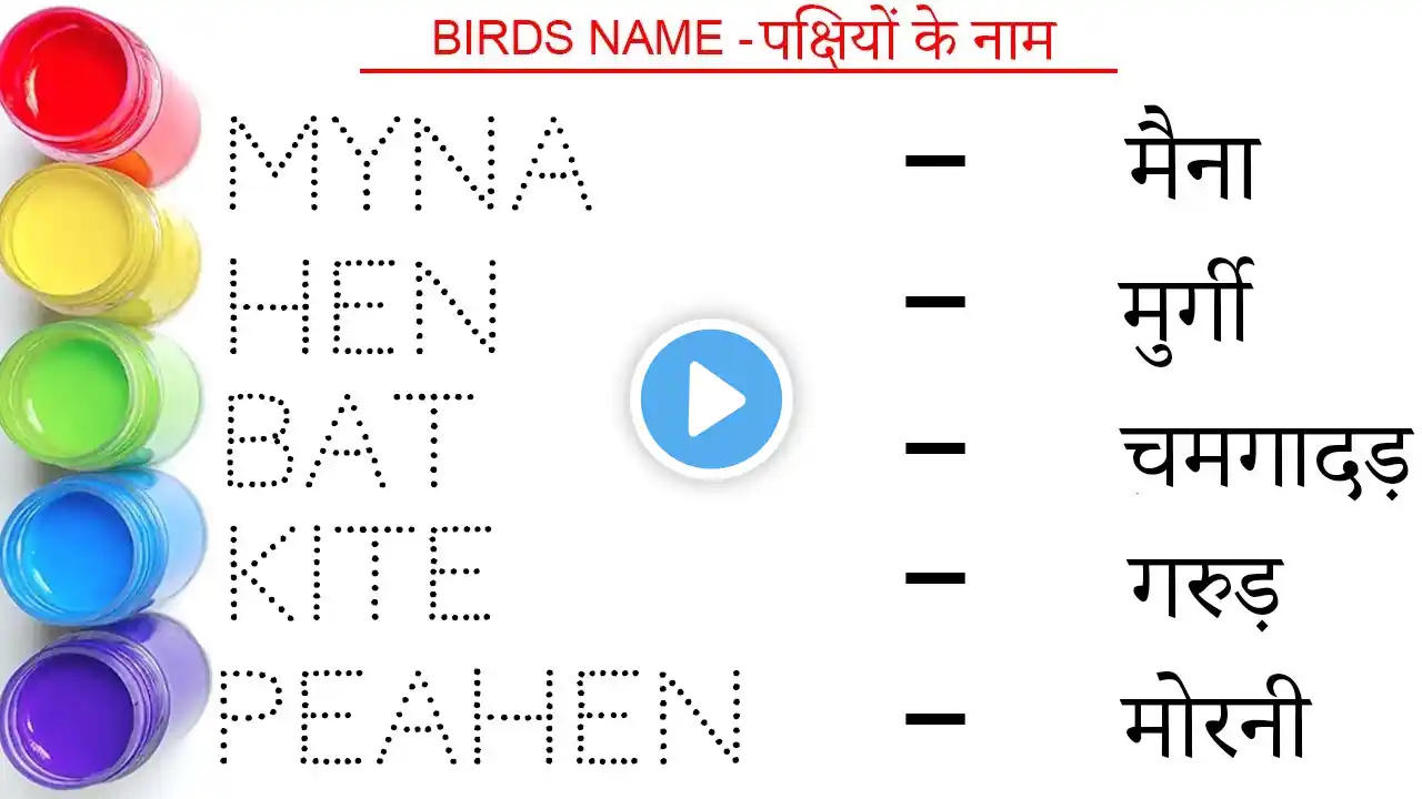 Birds name in hindi and english || पक्षियों के नाम || Birds Name || study centre